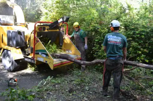 tree services Silverado Resort